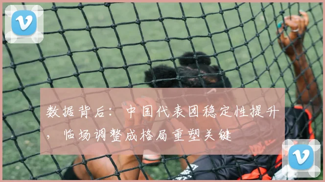 数据背后：中国代表团稳定性提升，临场调整成格局重塑关键